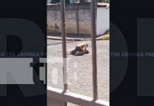 Pelea callejera en Managua termina con heridos y videos virales Foto: Pelea callejera en Managua termina con heridos y videos virales/ TN8