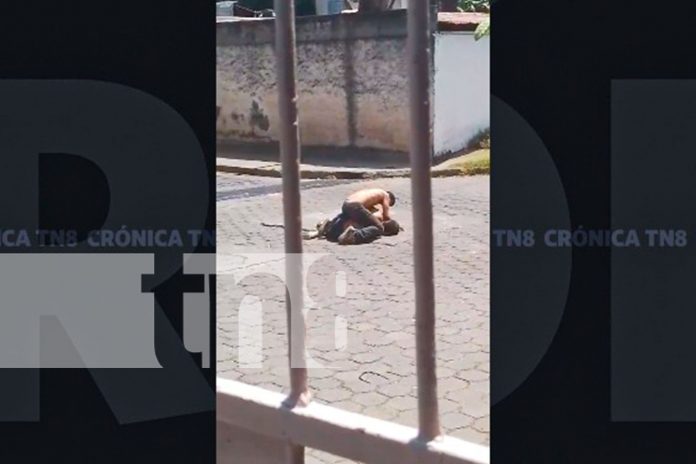 Foto: Pelea callejera en Managua termina con heridos y videos virales/ TN8