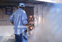 Foto: Fumigación en Managua / TN8