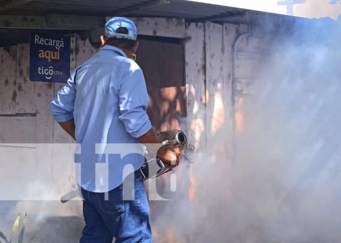 Foto: Fumigación en Managua / TN8 Foto: Fumigación en Managua / TN8