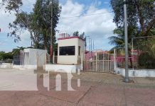 Foto: SERVIGOB cerró su oficina en Managua / TN8