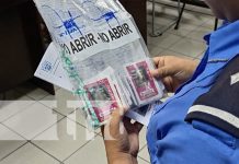Juicio por venta de stickers falsos en Managua entra en su fase final Foto: Juicio por venta de stickers falsos de la Alcaldía de Managua / TN8