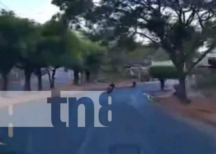 Foto: Imprudencia y accidente en la Pista Suburbana, Managua / TN8 Foto: Imprudencia y accidente en la Pista Suburbana, Managua / TN8