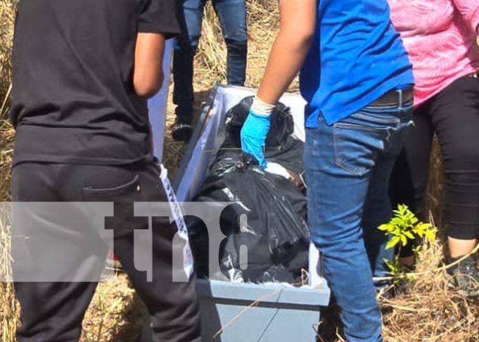 Foto: Hallazgo de cadáver en avanzado estado de descomposición en una zona de Monte Tabor / TN8 Foto: Hallazgo de cadáver en avanzado estado de descomposición en una zona de Monte Tabor / TN8