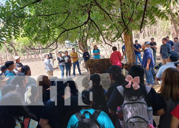 Foto: Medicina Veterinaria en la UNA / TN8 Foto: Medicina Veterinaria en la UNA / TN8