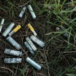 ¿Sembrar baterías? El experimento que produce energía limpia Foto: Austria ha dado un paso revolucionario en la lucha contra la contaminación/Cortesía