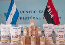 Foto: Segunda entrega de Merienda Escolar beneficia a más de 58 mil estudiantes en Masaya/TN8