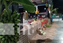 Foto: Nandaime eleva oración por un invierno bendecido y productivo/TN8