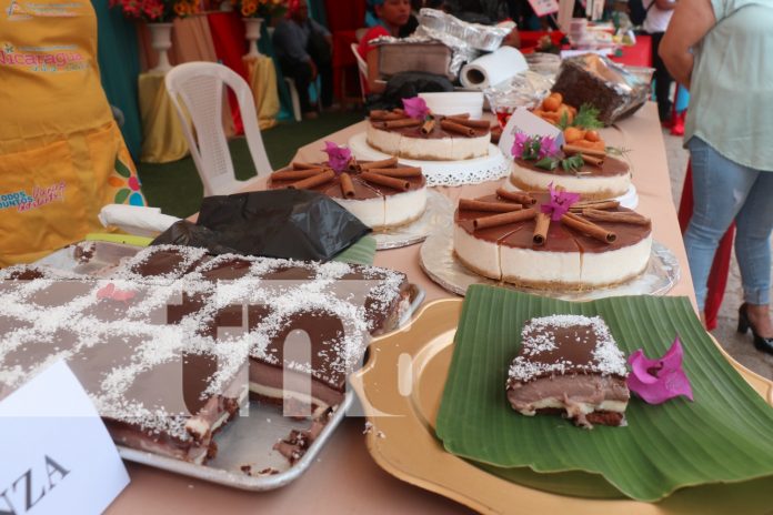 Foto: Éxito rotundo en el concurso departamental de arte y sabor en Bonanza/TN8