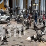 Turistas disfrutan de un domingo perfecto en Granada, entre historia y belleza natural Foto: Turistas disfrutan de un domingo perfecto en Granada, entre historia y belleza natural/TN8