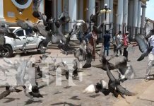 Foto: Turistas disfrutan de un domingo perfecto en Granada, entre historia y belleza natural/TN8