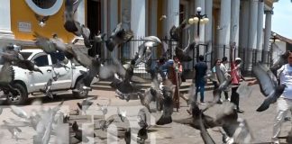 Foto: Turistas disfrutan de un domingo perfecto en Granada, entre historia y belleza natural/TN8