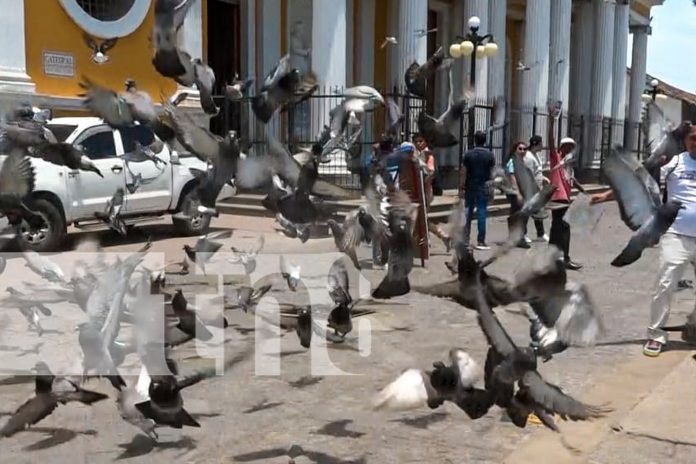 Foto: Turistas disfrutan de un domingo perfecto en Granada, entre historia y belleza natural/TN8
