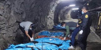 Foto: Terror en Perú /cortesía