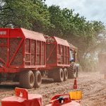 Chinandega, Managua y Rivas lideran producción azucarera en 2025 Foto:Chinandega, Managua y Rivas lideran producción azucarera en 2025/Cortesía