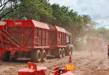 Foto:Chinandega, Managua y Rivas lideran producción azucarera en 2025/Cortesía