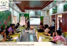Premian los mejores cafés de Nicaragua en certamen de talla mundial Foto: Premian los mejores cafés de Nicaragua en certamen de talla mundial / Cortesía