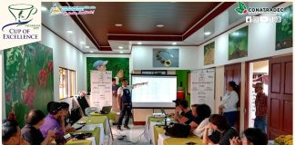 Foto: Premian los mejores cafés de Nicaragua en certamen de talla mundial / Cortesía