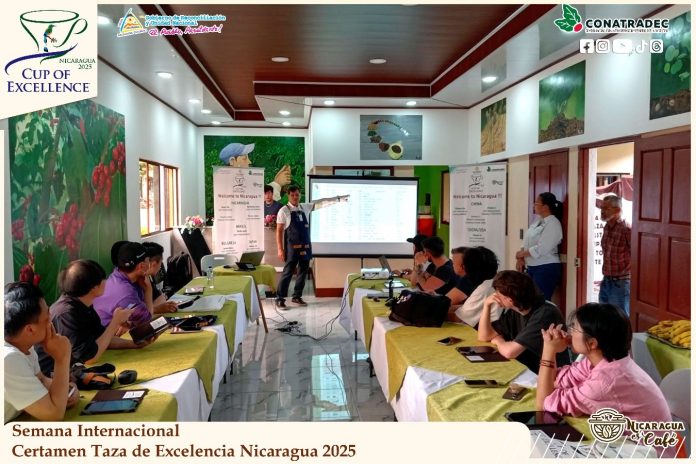 1 Foto: Premian los mejores cafés de Nicaragua en certamen de talla mundial / Cortesía