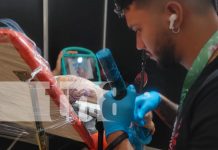 ¡Arte en la piel! Expo Tattoo 2025 abre sus puertas en Managua, con más de 70 artistas Foto: ¡Arte en la piel! Expo Tattoo 2025 abre sus puertas en Managua, con más de 70 artistas/TN8