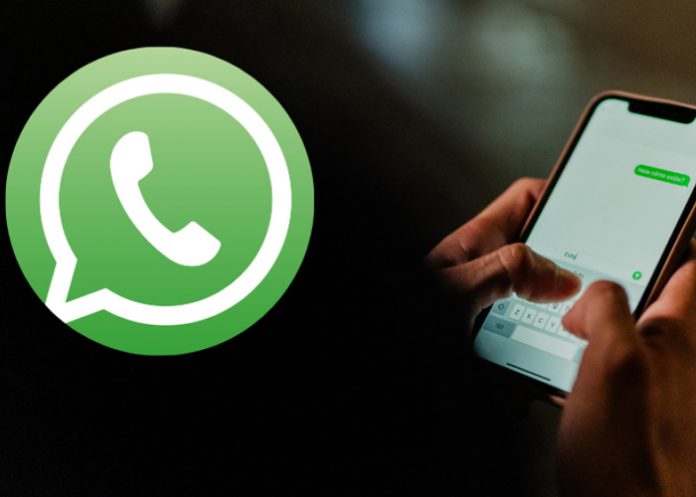 Foto: Meta potencia WhatsApp con IA /cortesía Foto: Meta potencia WhatsApp con IA /cortesía