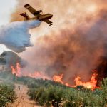 Foto: Incendios forestales en Transbaikalia/Cortesía