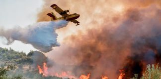 Foto: Incendios forestales en Transbaikalia/Cortesía