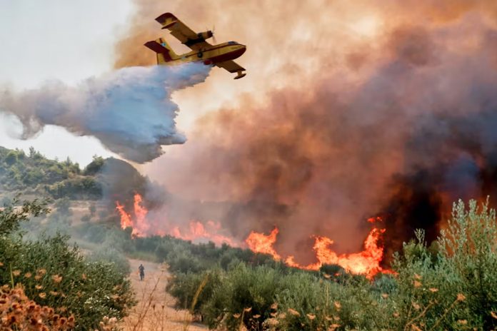 Foto: Incendios forestales en Transbaikalia/Cortesía