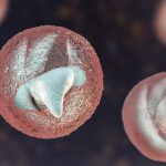 Investigan brote parasitario tras visita escolar a granja en Reino Unido Foto: Alerta sanitaria en Reino Unido /cortesía