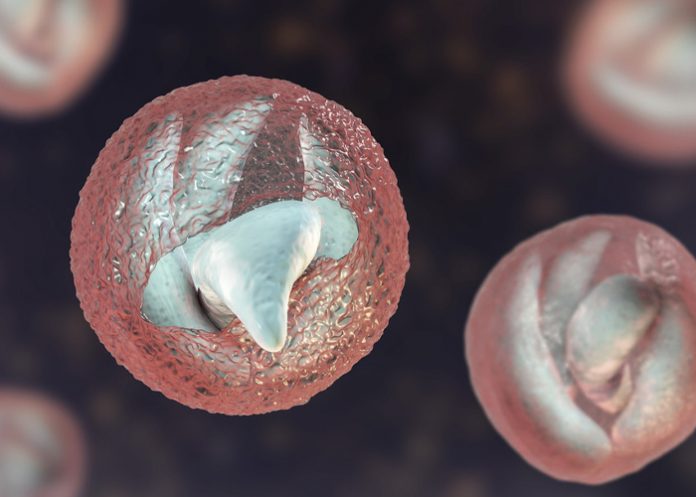 Foto: Alerta sanitaria en Reino Unido /cortesía Foto: Alerta sanitaria en Reino Unido /cortesía