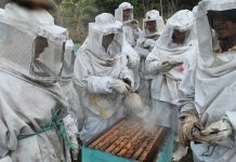 Apicultores de Chontales aprenden nuevas técnicas para alimentar abejas