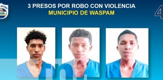 Capturan a seis delincuentes en RACCN/TN8