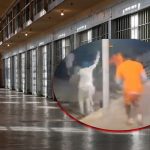 10 reos escapan de prisión en EE.UU. a través de un agujero oculto (VIDEO) Foto: 10 reos escapan de prisión en EE.UU. / Cortesía