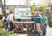 “Oro Verde”: El vivero que florece en El Jicaral por el futuro del bosque