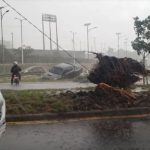 Fuerte temporal azota Paraguay y causa graves daños en 12 departamentos Foto: Tormenta masiva en Paraguay /cortesía