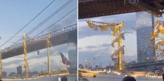 Foto: Cierran el puente de Brooklyn tras violento enfrentamiento con la Policía/ Cortesía.