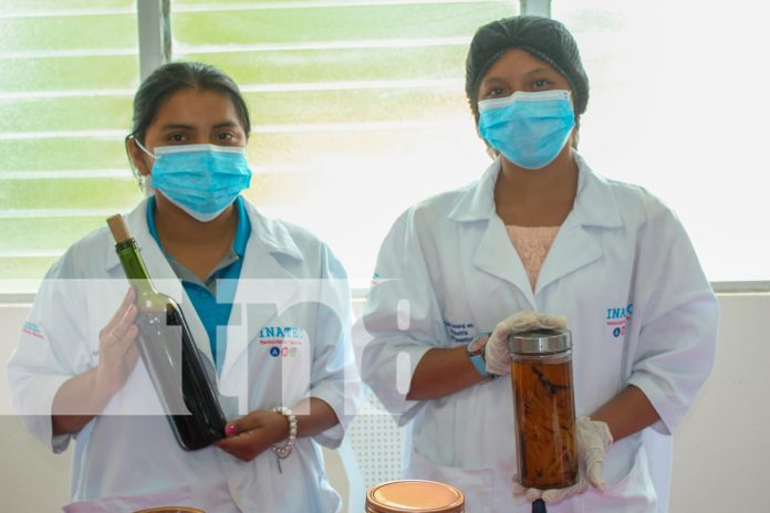 Foto:  INATEC fortalece lazos entre educación y producción nacional/TN8 Foto: INATEC fortalece lazos entre educación y producción nacional/TN8