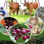 Plan Nacional de Producción: Nicaragua apuesta por la innovación agrícola Foto: Nicaragua apuesta por la innovación agrícola para beneficiar a familias emprendedoras /Cortesía