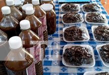 Foto: cooperativa en Nandaime florece con productos de tamarindo/TN8