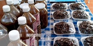 Foto: cooperativa en Nandaime florece con productos de tamarindo/TN8