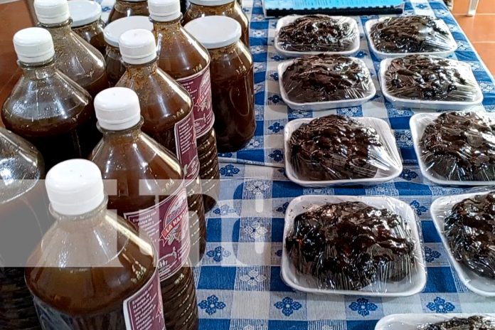 Foto:  cooperativa en Nandaime florece con productos de tamarindo/TN8 Foto: cooperativa en Nandaime florece con productos de tamarindo/TN8