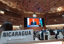 Nicaragua participa en la 78ª Asamblea Mundial de la Salud en Ginebra, Suiza Foto: Nicaragua participa en la 78ª Asamblea Mundial de la Salud en Ginebra / Cortesía