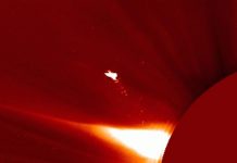 Captan cerca del Sol un “pájaro” de fuego gigante, ¡más grande que la Tierra! Foto: El Sol bajo vigilancia /cortesía