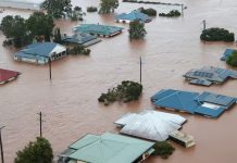 Foto: Australia enfrenta una catástrofe sin precedentes/Cortesía