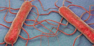 Foto: Al menos 10 personas se contagian de listeria /Cortesía
