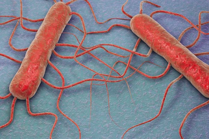 Foto: Al menos 10 personas se contagian de listeria /Cortesía