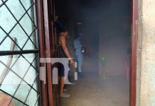 Foto: Jornada de fumigación llega a barrio de Managua /TN8