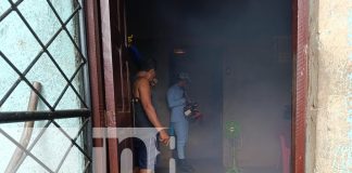 Foto: Jornada de fumigación llega a barrio de Managua /TN8
