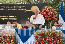 Foto: Asamblea Nacional de Nicaragua aprueba ley que declara el 4 de mayo Día de la Dignidad/TN8