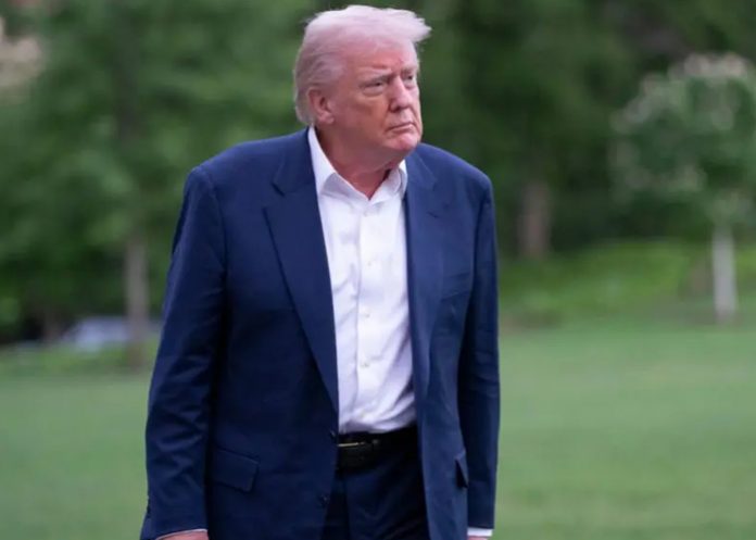 Foto: Trump impone nuevos aranceles /cortesía Foto: Trump impone nuevos aranceles /cortesía